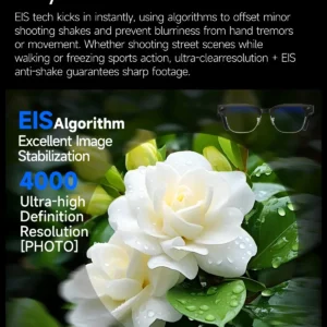 Sfd7276d3671f42debc228ea61861401eo.webp